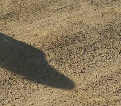 yellow - silhouette in the desert