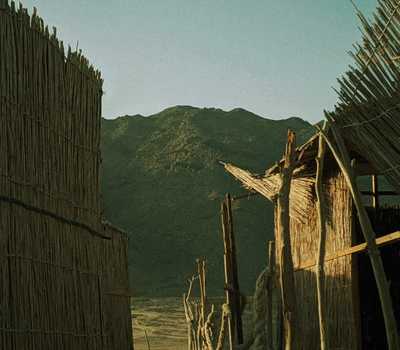 green - cottage in the desert