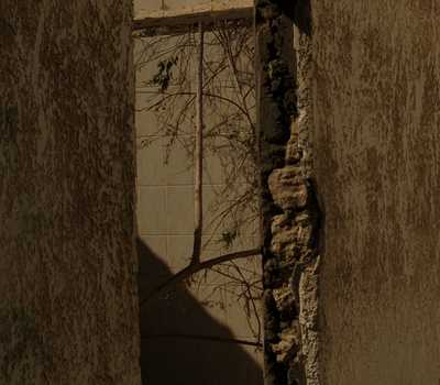 yellow - roots in abandoned room