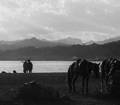 bnw - people and horses on the shore