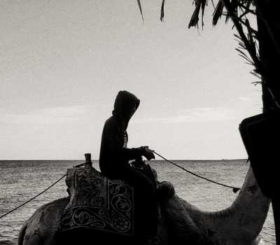 bnw - boys riding camels